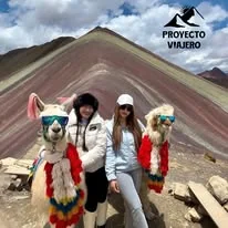 Llamas en Montaña de Colores